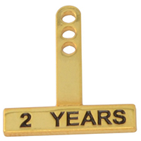 Yearly Milestone Rocker Pins (Straight)